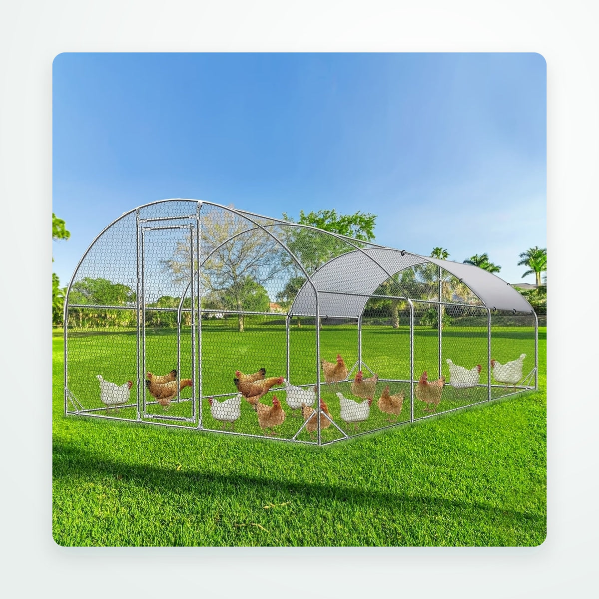 Animal Coops & Enclosures