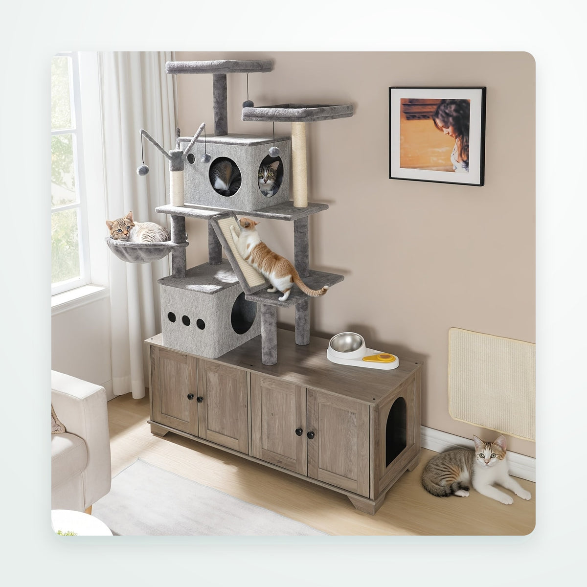 Cat Furniture & Litter collection at Verlmont