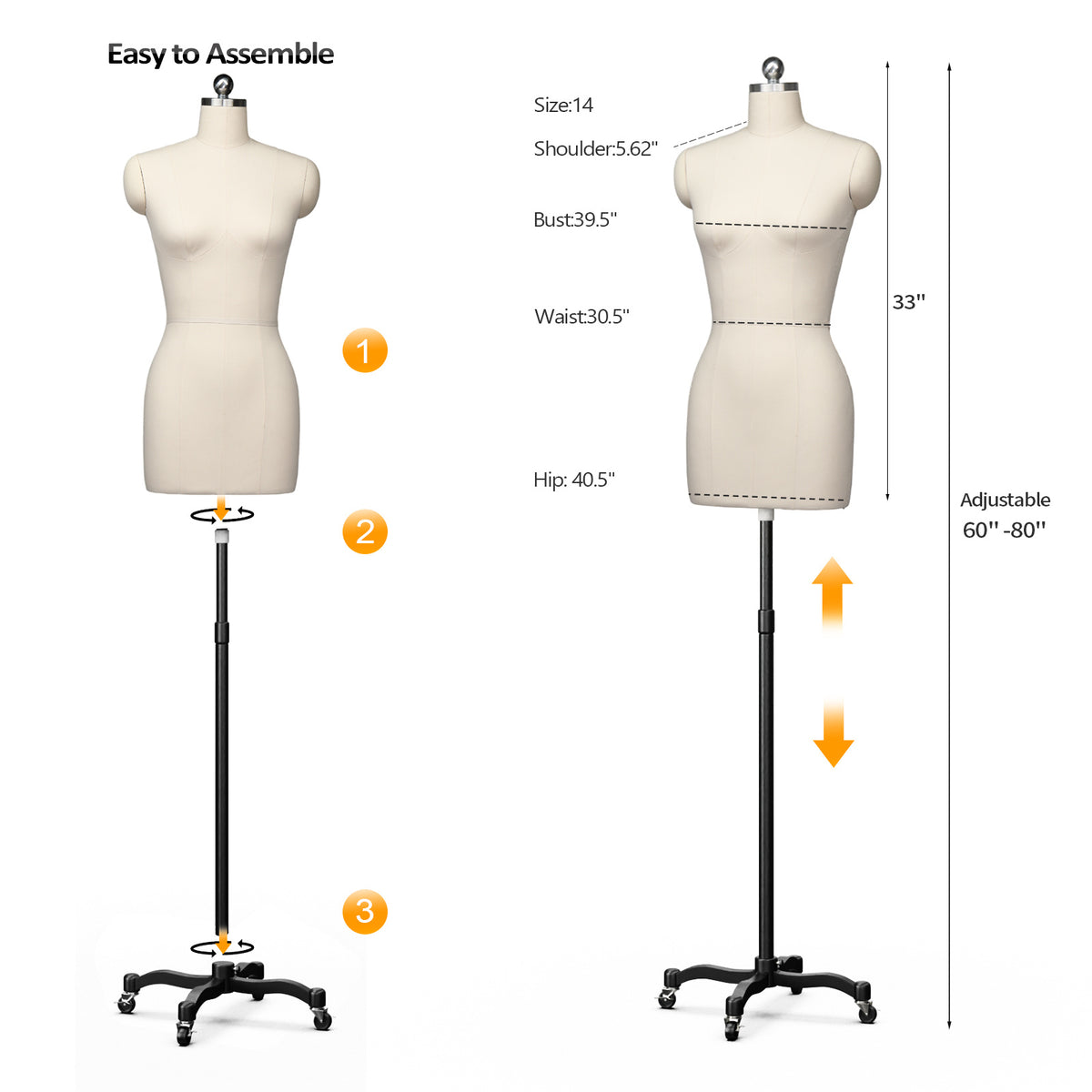 Bonnlo Female Sewing Mannequin, Size 6 Professional Dress Form for Display and Tailor Design, Height Adjustable Torso with Stable Metal Base