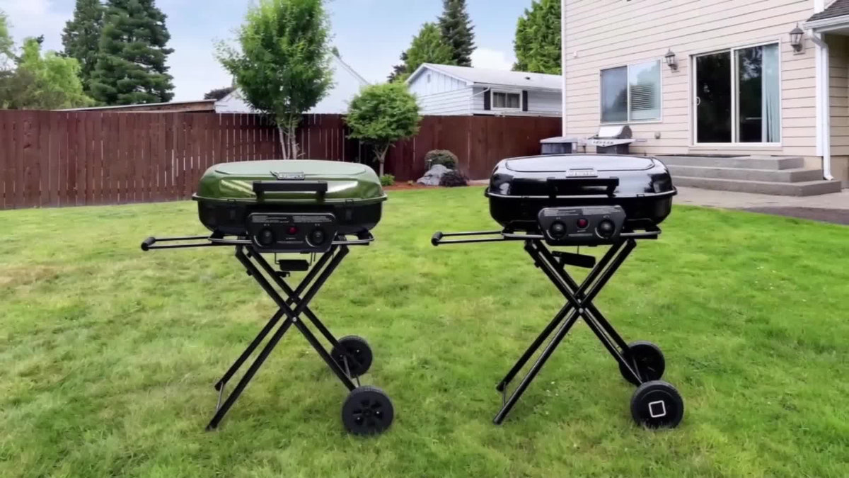 Portable 2-Burner Camping Propane Gas Grill, Enameled Foldable BBQ with Griddle for Outdoor Cooking, Green