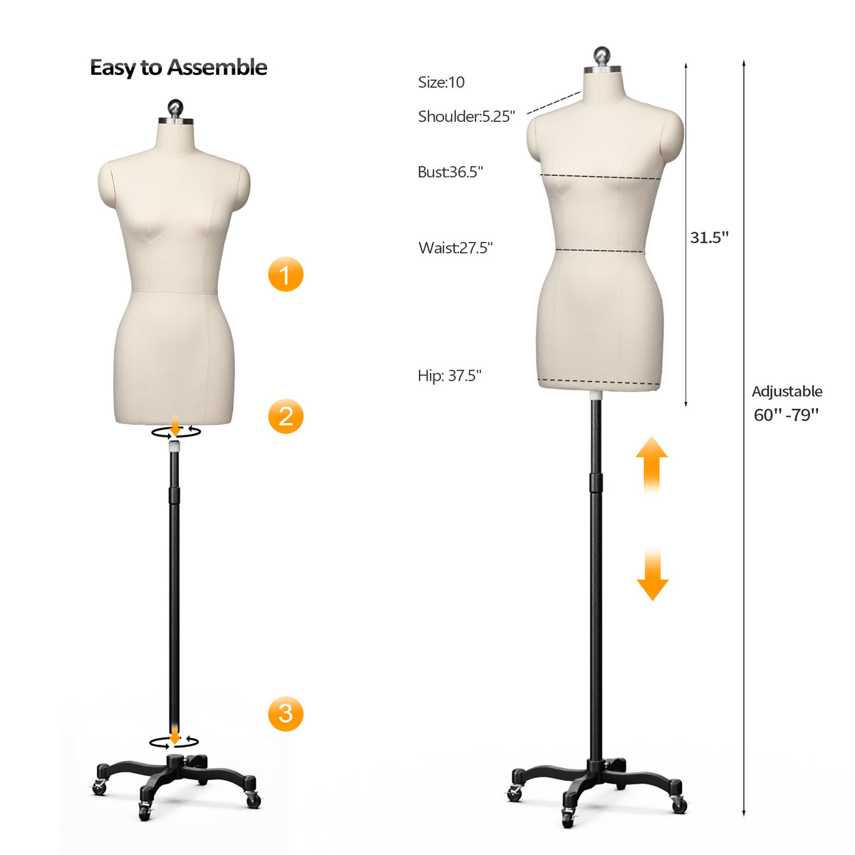 Bonnlo Female Sewing Mannequin, Size 6 Professional Dress Form for Display and Tailor Design, Height Adjustable Torso with Stable Metal Base