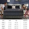 EVLWZL 10"/12"/14" Gel Memory Foam Hybrid Pocket Spring Twin Full Queen King Size Bed Mattress in A Box, Medium Firm Premium High Quality Innerspring Hybrid And Cooling Gel Memory Foam Mattress And Motion Isolation