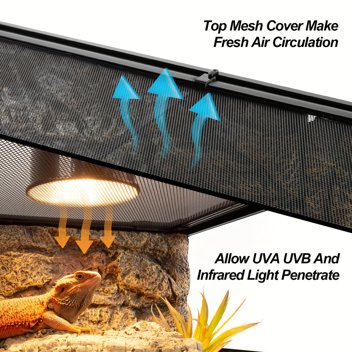 WACOOL Double Stacked Reptile Tank, 30" X 12" X 12" Tall Reptile Terrarium, Front Opening, Full Vision, Knock Down, 2 Pack 20 Gallon Glass Cage for Reptile, Bearded Dragon, Lizard, Snake, Gecko