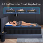 12/14 Inch Gel Memory Foam Mattress Hybrid Pocket Spring Twin Full Queen King Bed Mattress In A Box, Euro Top Medium Firm for Back & Lumbar Support, Individual Pocket Spring Bed for Motion Isolation & Fiberglass Free