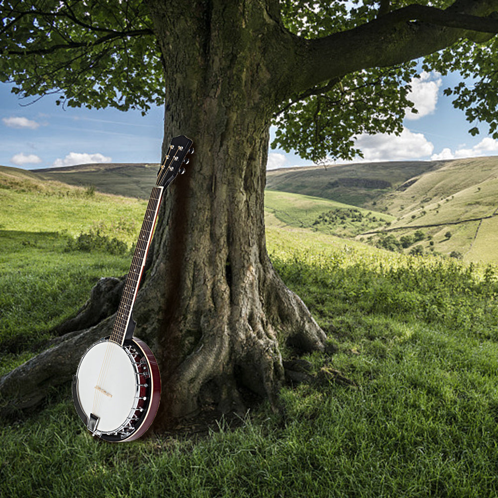 Grade Exquisite Professional Sapelli Notopleura Wood Alloy 6-string Banjo