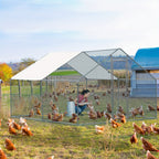 10 X 10ft Large Metal Chicken Coop, Walk-in Poultry Cage Chicken Hen Run House with Waterproof Cover, Rabbits Cats Dogs Farm Pen for Outdoor Backyard Farm Garden