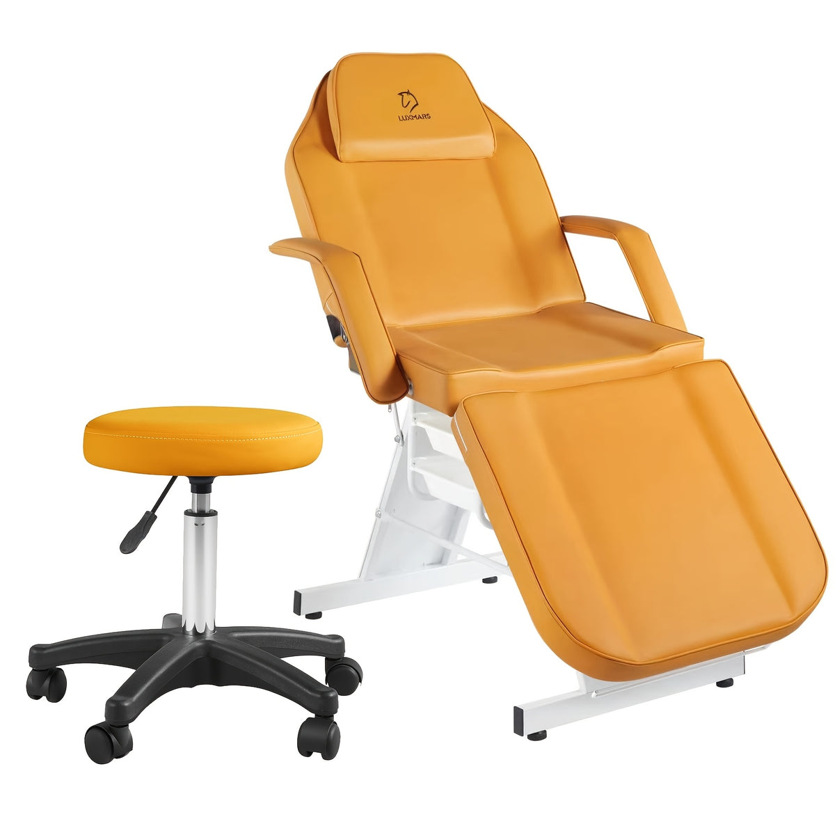 Tattoo Chair Adjustable, Facial Chair Multipurpose 73 Inch Spa Facial Bed With Massage Equipment Stool For Beauty Spa Tattoo