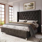 LUXOAK Modern Luxury 50" Wingback Bed Frame with Plush Beige/White Velvet Upholstery - Queen/King Size Platform Bed, Button Tufted Headboard & Nailhead Trim, Sturdy Frame, No Box Spring Needed, Easy Assembly (30-Min Setup)