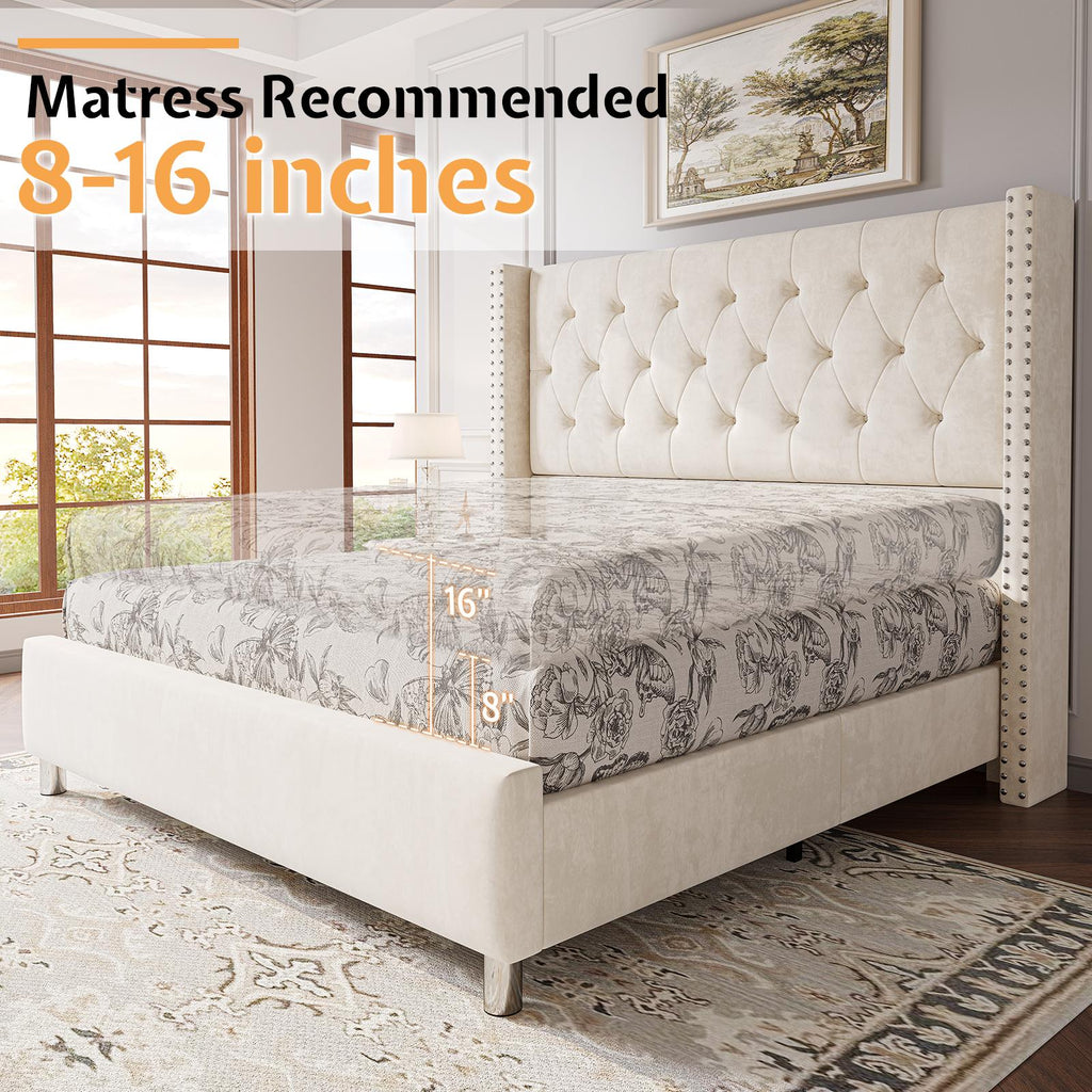 ALBOTT Upholstered Platform Bed Frame with 50 Inch Velvet Wingback Headboard, Button Tufted and Nailhead Trim, No Box Spring Needed, Easy Assembly