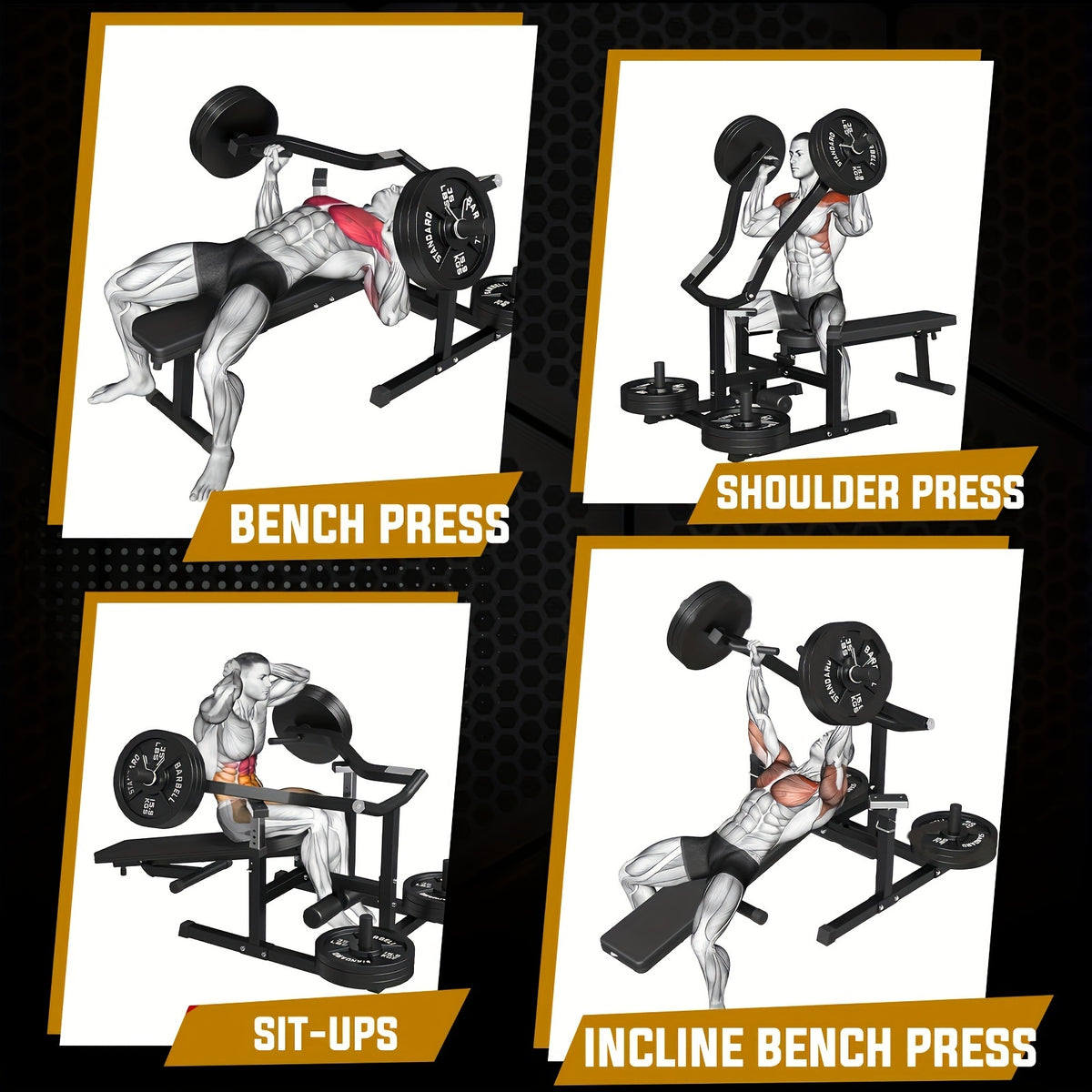 Chest Press Machine, 1250LBS Capacity with Independent Converging Arms, Adjustable Flat Incline Fitness Bench for Home Gym