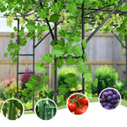 Sturdy Black Metal Arched Grape Trellis | Climbing Pergola, Fence Specifically For Vine Plants, Suitable For Balconies, Backyards, Villa Gardens, Durable And Easy To Install
