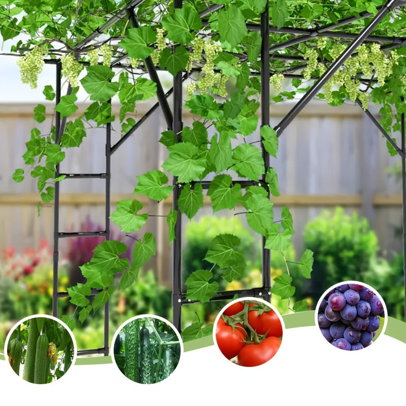 Sturdy Black Metal Arched Grape Trellis | Climbing Pergola, Fence Specifically For Vine Plants, Suitable For Balconies, Backyards, Villa Gardens, Durable And Easy To Install