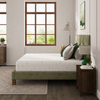Dyonery 6/8/10 lnch Memory Foam Mattress, Green Tea Gel Infused Mattress in a Box, Breathable Bamboo Cover, Twin Full Queen King Size