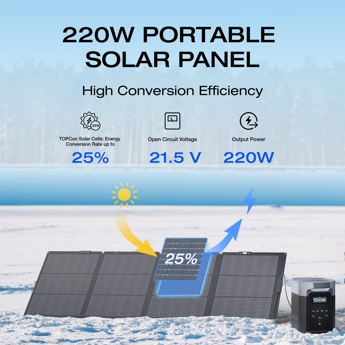 EcoFlow 45W/60W110W/160W/220W Portable Solar Panel, Foldable with Carry Case, High 23 Efficiency, Design for Camping, RVs, or Backyard Use