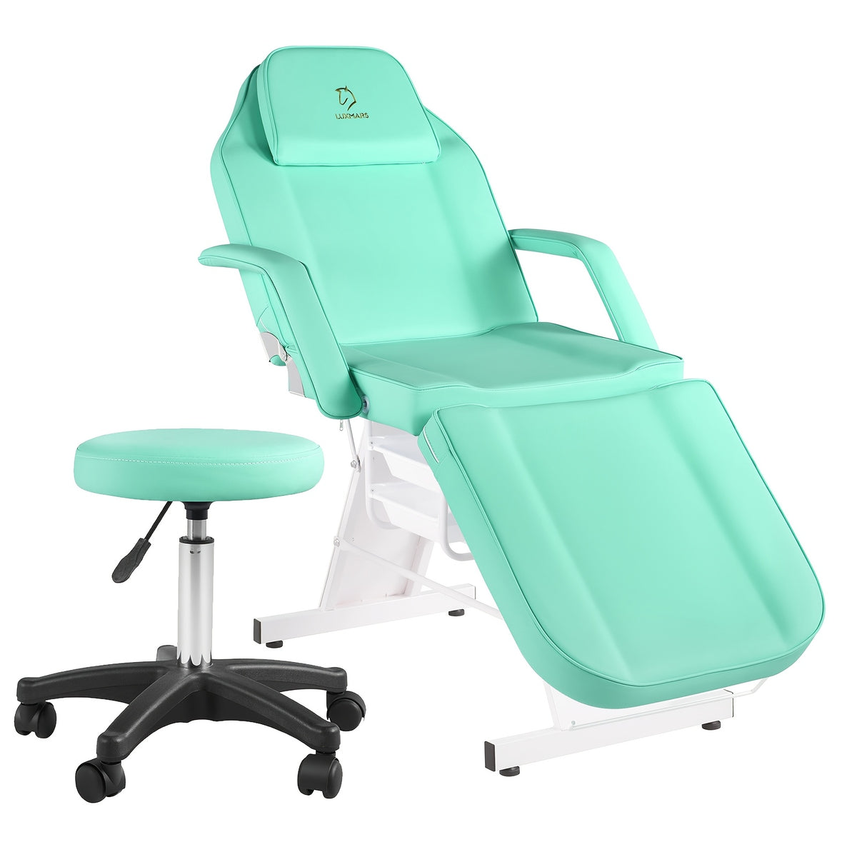 Tattoo Chair Adjustable, Facial Chair Multipurpose 73 Inch Spa Facial Bed With Massage Equipment Stool For Beauty Spa Tattoo