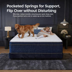 Queen Size 12-Inch Mixed Mattress, Memory Foam - Ergonomic Design, Medium Firm Mixed, Luxurious Spring Comfort Mattress, Suitable for Home, Guest Room, Hotel