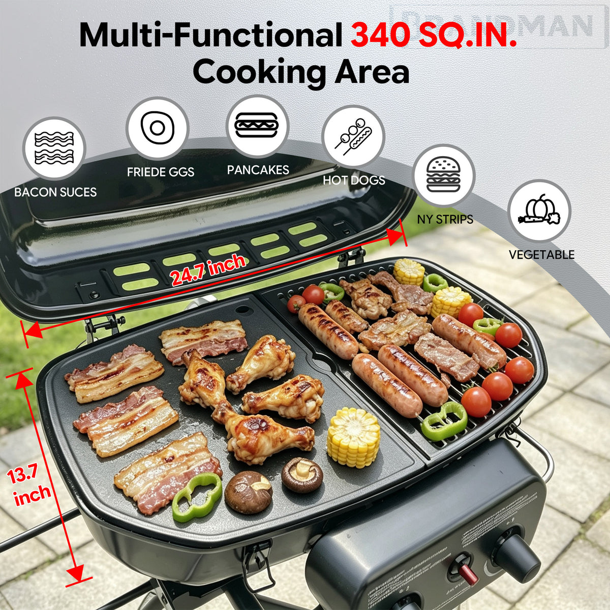 Portable 2-Burner Camping Propane Gas Grill, Enameled Foldable BBQ with Griddle for Outdoor Cooking, Green
