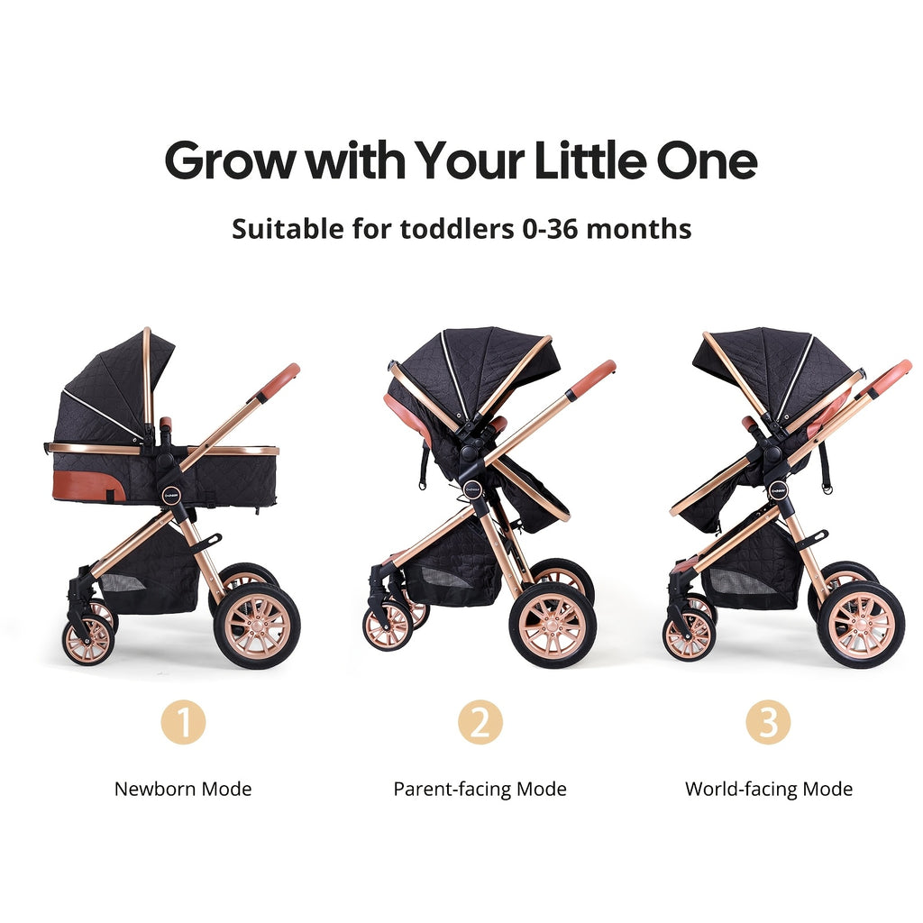 Cochildor Foldable Baby Stroller, Shock Absorption & All-Terrain Tires, Reversible Forward-Facing Push Adjustable Handlebar Large Sun Canopy Storage Basket, Lightweight Durable Aluminum Frame, for Travel Shopping Park - Two-way Baby Pram
