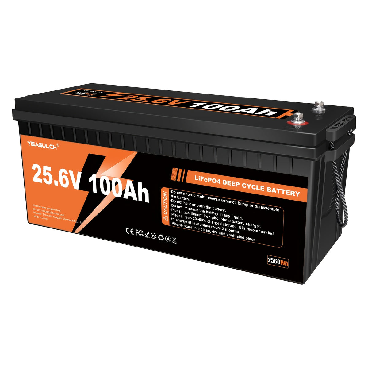 12V 314Ah/100Ah, 24V 100AH Basic Lifepo4 Lithium Battery with Built-In 200/100BMS Power, 15000+ Cycles, 4019.2Wh, Suitable for Solar Systems, Rvs, And Home Storage