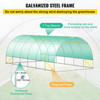 Walk-In Tunnel Greenhouse 20 x 10 x 7 ft by VEVOR — Reinforced Galvanized Structure for Plant Protection