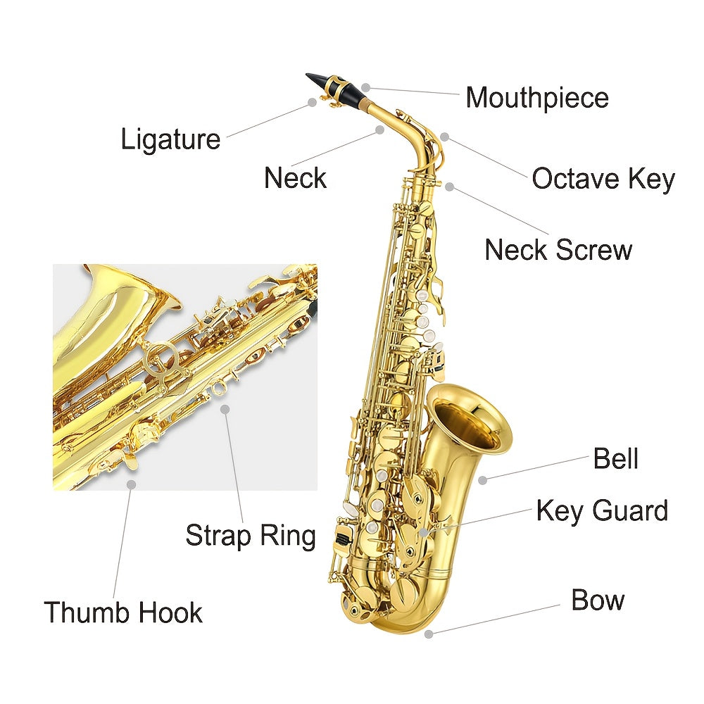 WUQIMUSC Alto And Soprano Saxophone | E-Flat Alto/B-Flat Soprano Available | Multiple Colors And Golden Lacquer End | Handcrafted | Full Kit with Case And Mouthpiece | Ideal Easter Gift for Friends, Him And Her Wind Instruments
