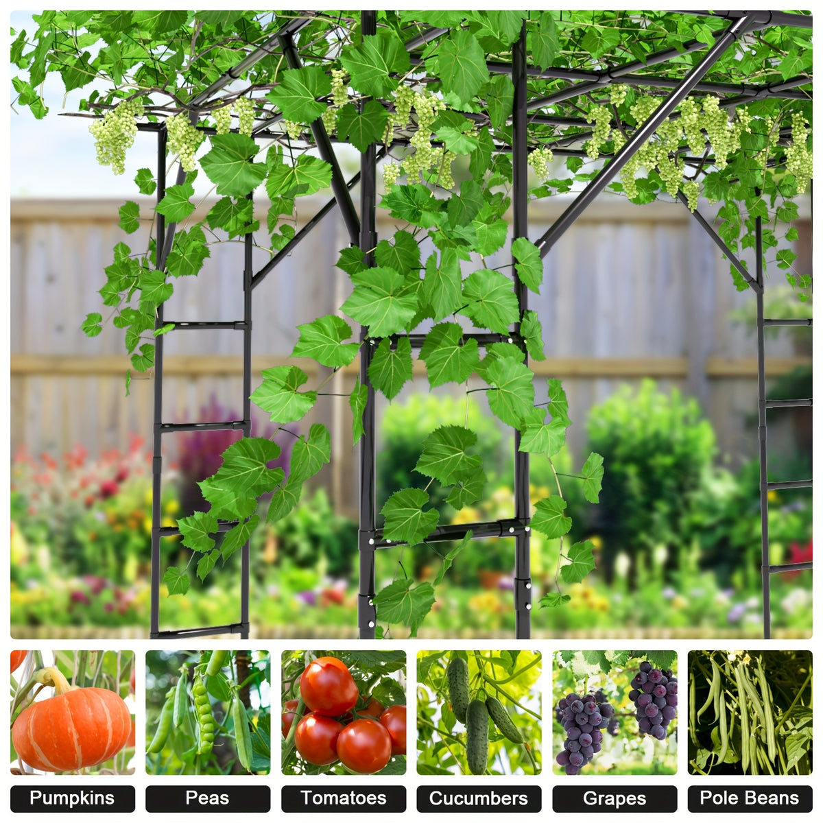 Grape Vine Support Arch Arbor, Garden Arch Trellis, Plant Climbing Pergola, Arbour Gazebo Trellis For Backyard Decoration, Black Rack For Vineyard