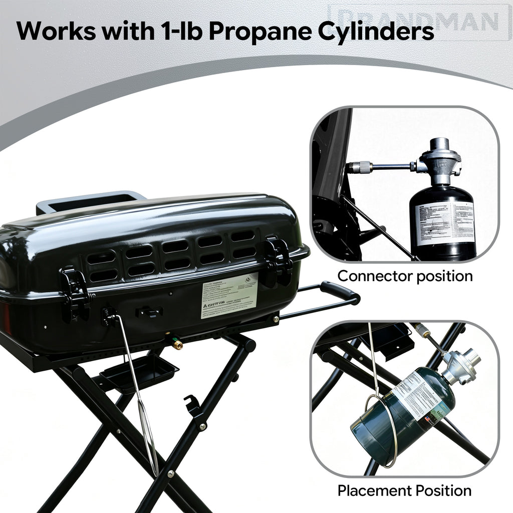 Portable 2-Burner Camping Propane Gas Grill, Enameled Foldable BBQ with Griddle for Outdoor Cooking, Green