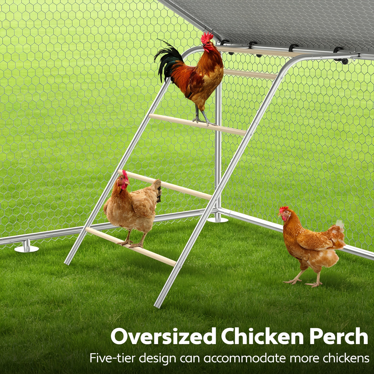 Walk-In Metal Chicken Coop | Outdoor Activity Enclosure With Uv-Resistant Canopy, Predator-Proof Hexagonal Mesh, And 5-Tier Extra-Large Roosting Bars | Ideal For Backyard Housing Of Chickens, Ducks, Geese, And Small Fowl