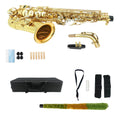 YoungMonic Eb Alto Saxophone for Beginners Adult, Saxophone Student, E Flat Alto Sax Full Kit with Reeds, Pads, Hard Carrying Case, Cleaning Cloth & Rod