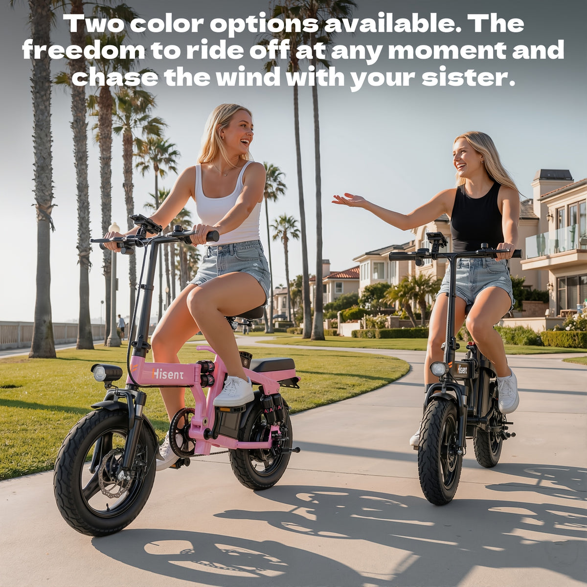 Hisent Folding Electric Scooter, 500W Brushless Motor, Speed 19.9mph, Dual Suspension System, Full Shock Absorption, 48V 10AH-17.5AH Battery(optional), 15-35 Miles Range, 14-inch High-quality Tires, With Double Seats