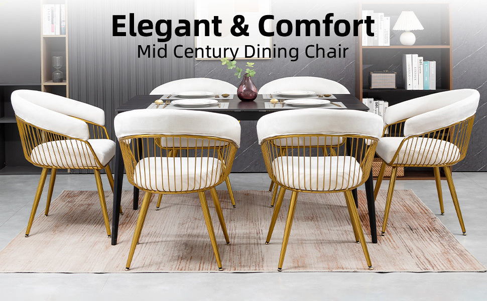 DYHOME 2pcs Modern Reception Chairs Visitor Chairs for Office, Living Room, Kitchen, Elegant Fabric Accent Chair with Comfortable Padded Back and Metal Legs
