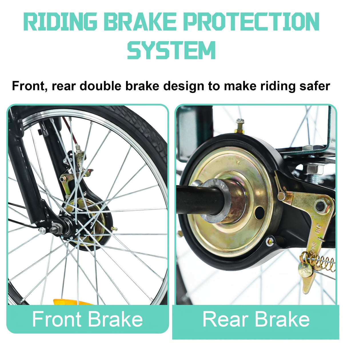 Adult Tricycle 20-Inch Cruiser Bike, Low-Step Design with Adjustable Seat and Front/Rear Baskets