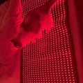 71'' X 31.5'' LED 1280pcs 660Nm Red Light Mat 850Nm Near Infrared Light Devices 3 Modes And 9 Timers, Extra Large Red Light Pad Blanket for Full Body