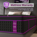12/14 Inch Memory Foam Mattress Hybrid Pocket Spring Twin Full Queen King Bed Mattress in A Box, Euro Top Medium Firm for Back & Lumbar Support, Individual Pocket Spring Bed for Motion Isolation & Fiberglass Free