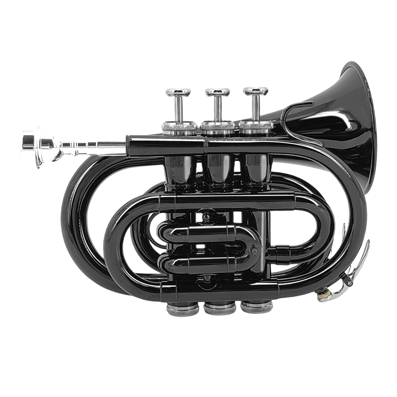 WUQIMUSC Bb Pocket Trumpet Nickel Plated, Brass Beginner Trumpet with 7C Mouthpiece, Case, Cleaning Kit & Gloves Musical Instruments Gift