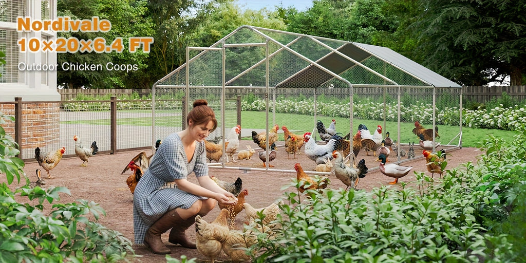 Nordivale Large Metal Chicken Coop with Winter Wrap Cover - 10x6.7x6.4ft/20x10x6.4ft Walk-in Chicken Run for Hens/Ducks/Rabbits, All-Weather Poultry Pen with Lock for Outdoor and Backyard, Farm, Duck Rabbit Cage Poultry Pen