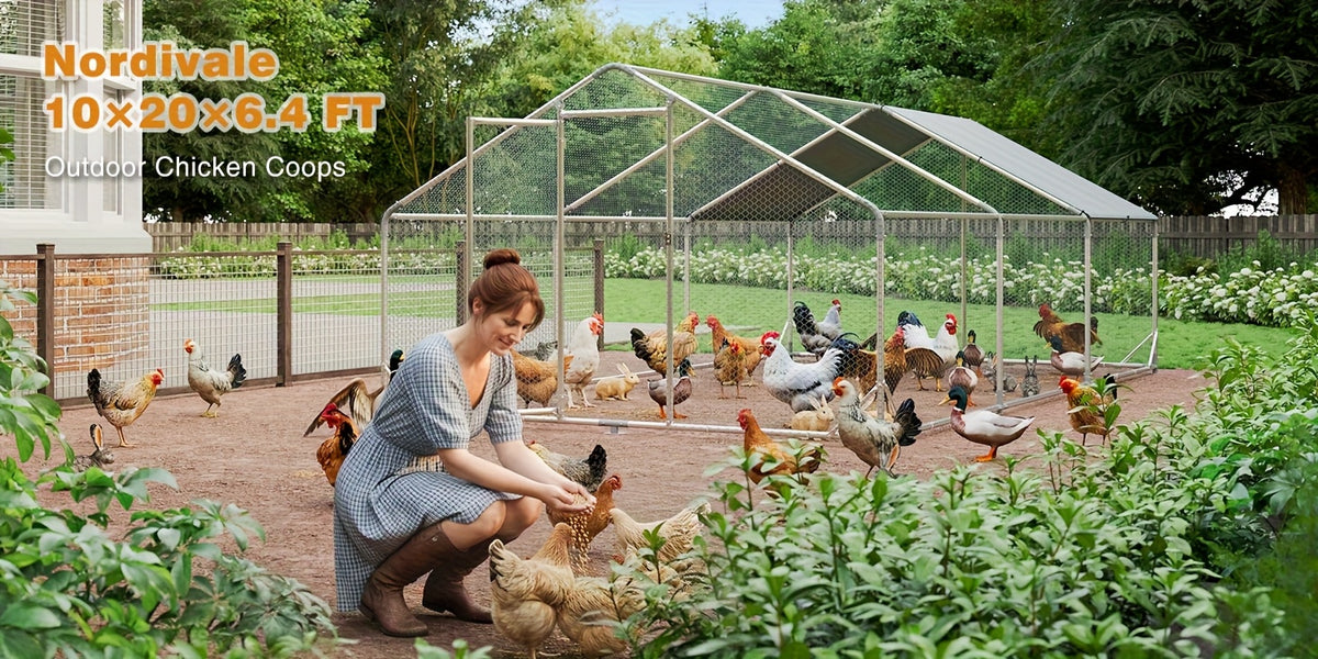 Nordivale Large Metal Chicken Coop with Winter Wrap Cover - 10x6.7x6.4ft/20x10x6.4ft Walk-in Chicken Run for Hens/Ducks/Rabbits, All-Weather Poultry Pen with Lock for Outdoor and Backyard, Farm, Duck Rabbit Cage Poultry Pen