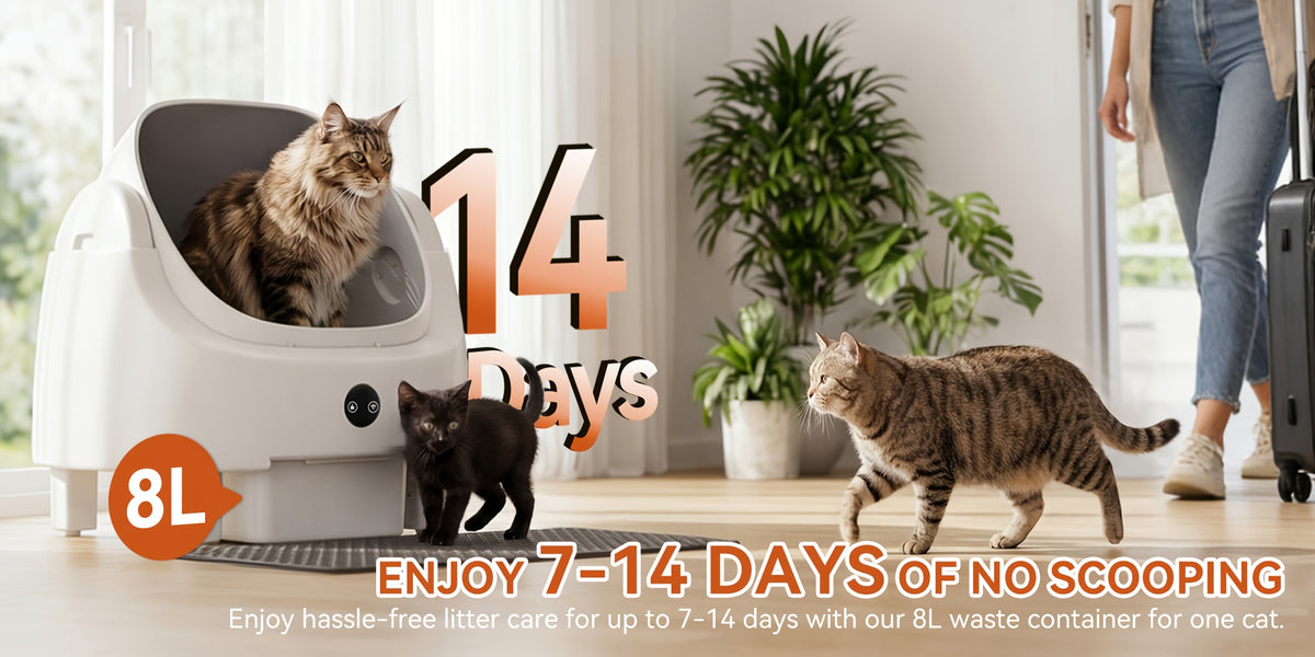 Aoxun Automatic Self-Cleaning Cat Litter Box for Multiple Cats - Large Robot-Style Litter Box with Smart Sensor, Open-Top Design & 360° Safety Protection, Odor-Free Auto Scooper for Indoor Cats, Without Battery