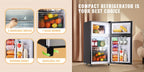 WANAI Double Door Small Refrigerator with Freezer, 3.5/4.5/5.0 Cu.Ft Small Fridge with 7 Level Adjustable Thermostat & Removable Shelves, Mini Refrigerator for Kitchen Apartment And Office, Silvery