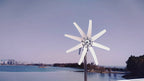 1000W Windmill 12V 24V Wind Turbine Generator with MPPT Controller 8 Blade Complete Power Supply System Kit Electric Generator Free Energy Home Appliance Electric Generator Camping
