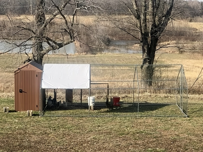 [Chicken Coop with Run] Large Chicken Coop with Run Walk-In Poultry Cage Chicken Runs House Pen Cage Dome Roofed Chicken Coops with Cover for Outdoor Backyard Farm Use, Raising Small Animals, Dome Roof