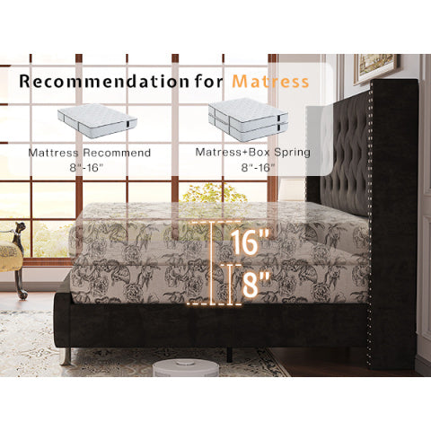 LUXOAK Modern Luxury 50" Wingback Bed Frame with Plush Beige/White Velvet Upholstery - Queen/King Size Platform Bed, Button Tufted Headboard & Nailhead Trim, Sturdy Frame, No Box Spring Needed, Easy Assembly (30-Min Setup)
