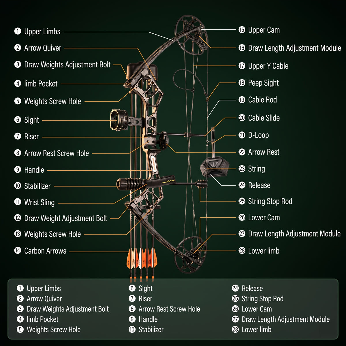 PANDARUS Archery Compound Bow And Archery Sets - Right Hand Archery Compound Bows 10-60Lbs Draw Weight Adjustable for Adults And Beginners, 25"-31" Draw Length, Up to IBO 320 Fps, Archery Hunting Bow Set