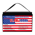 12v 100Ah LiFePO4 Battery Deep Cycle Battery 8000+ Cycles 100A BMS Rechargeable Lithium Iron Phosphate Battery Low-Temp Protection, For RV Marine And Home Energy Storage