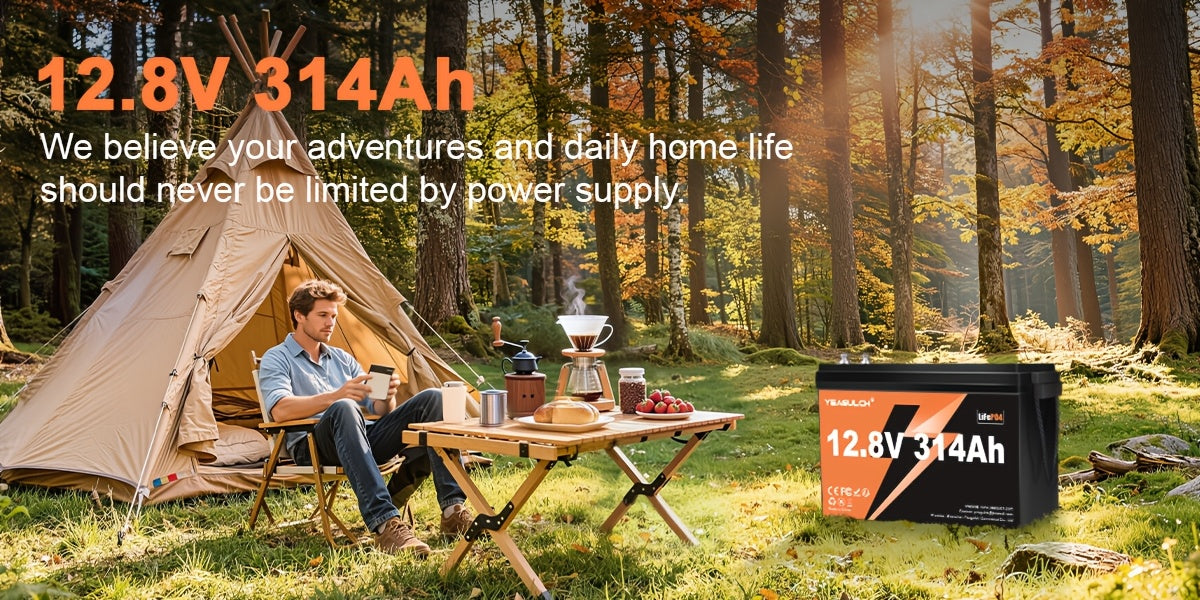 12V 314Ah/100Ah, 24V 100AH Basic Lifepo4 Lithium Battery with Built-In 200/100BMS Power, 15000+ Cycles, 4019.2Wh, Suitable for Solar Systems, Rvs, And Home Storage