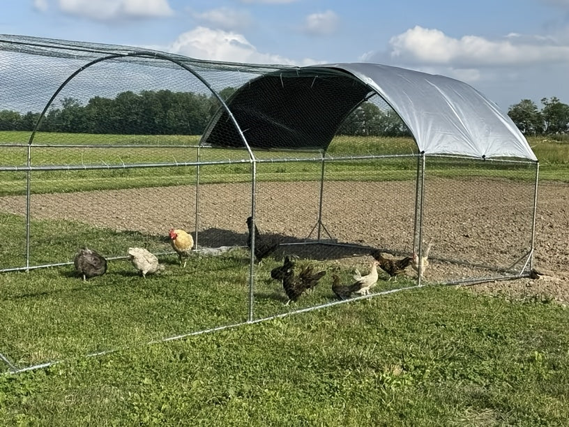 [Chicken Coop with Run] Large Chicken Coop with Run Walk-In Poultry Cage Chicken Runs House Pen Cage Dome Roofed Chicken Coops with Cover for Outdoor Backyard Farm Use, Raising Small Animals, Dome Roof