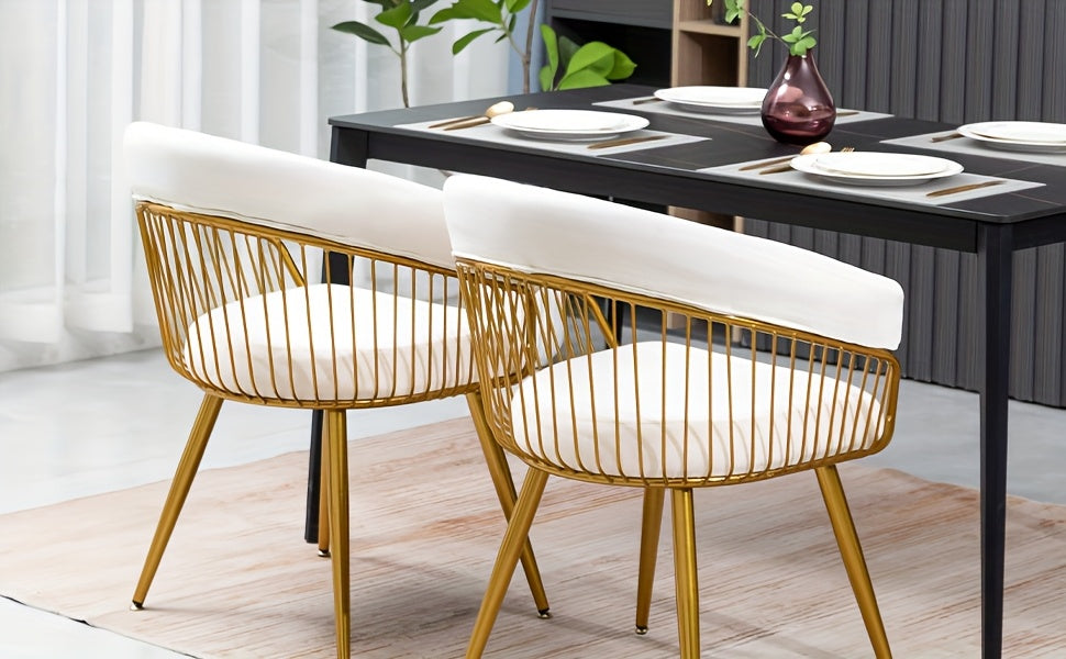 DYHOME 2pcs Modern Reception Chairs Visitor Chairs for Office, Living Room, Kitchen, Elegant Fabric Accent Chair with Comfortable Padded Back and Metal Legs