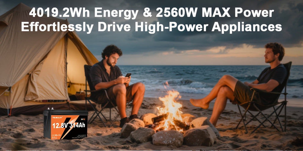 12V 314Ah/100Ah, 24V 100AH Basic Lifepo4 Lithium Battery with Built-In 200/100BMS Power, 15000+ Cycles, 4019.2Wh, Suitable for Solar Systems, Rvs, And Home Storage