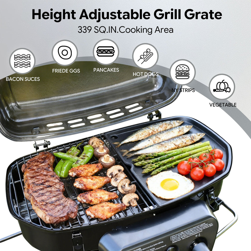 Portable 2-Burner Camping Propane Gas Grill, Enameled Foldable BBQ with Griddle for Outdoor Cooking, Green