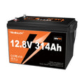 12V 314Ah/100Ah, 24V 100AH Basic Lifepo4 Lithium Battery with Built-In 200/100BMS Power, 15000+ Cycles, 4019.2Wh, Suitable for Solar Systems, Rvs, And Home Storage